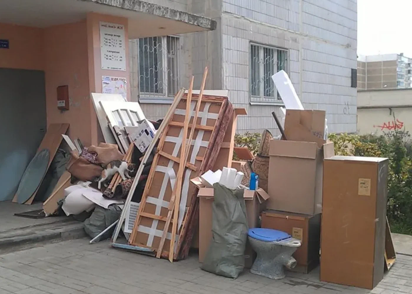 Профессиональный вывоз мусора из квартиры в Великом Устюге в октябре
