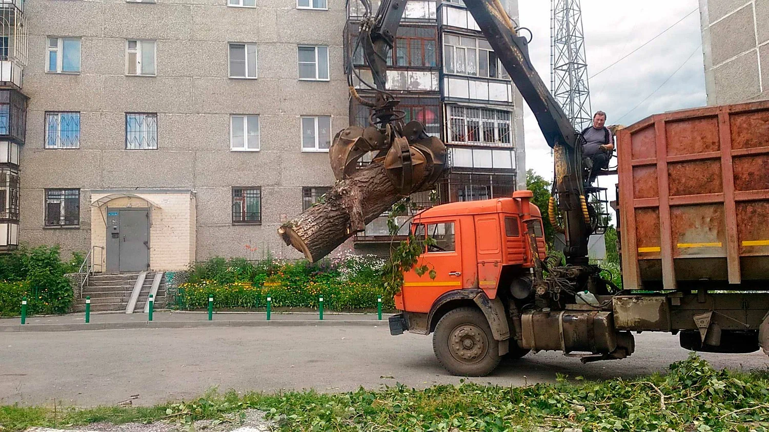 Вывоз спиленных веток и деревьев в Великом Устюге от ПроМусор: порубочные остатки, утилизация, цена от 2952 руб