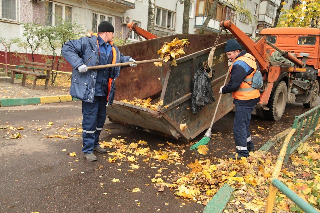 Вывоз опавшей листвы и растительного мусора в Великом Устюге от ПроМусор – цена от 4581 руб., быстрая уборка и утилизация